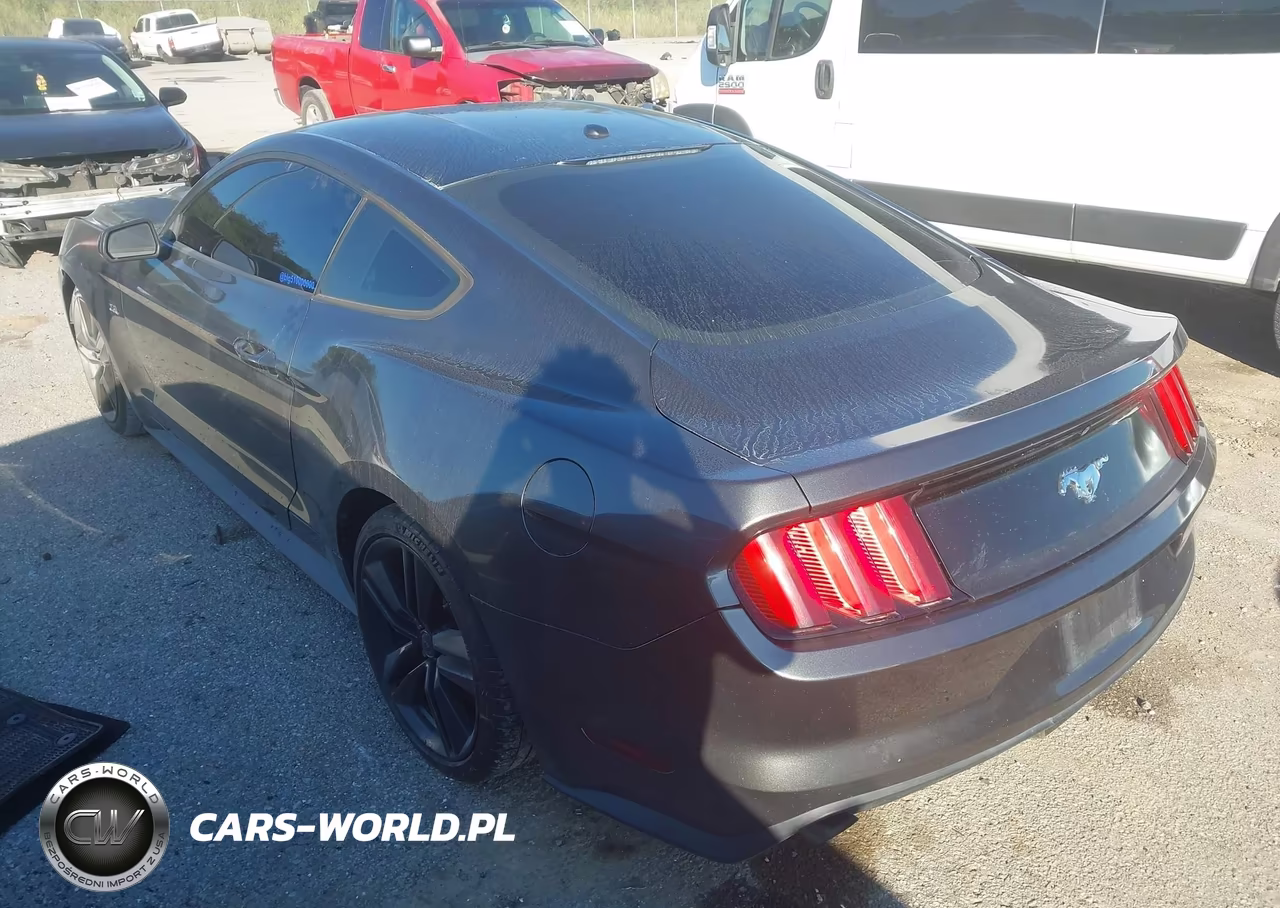2015 Ford Mustang Ecoboost VIN:1FA6P8THXF5316688 - 3