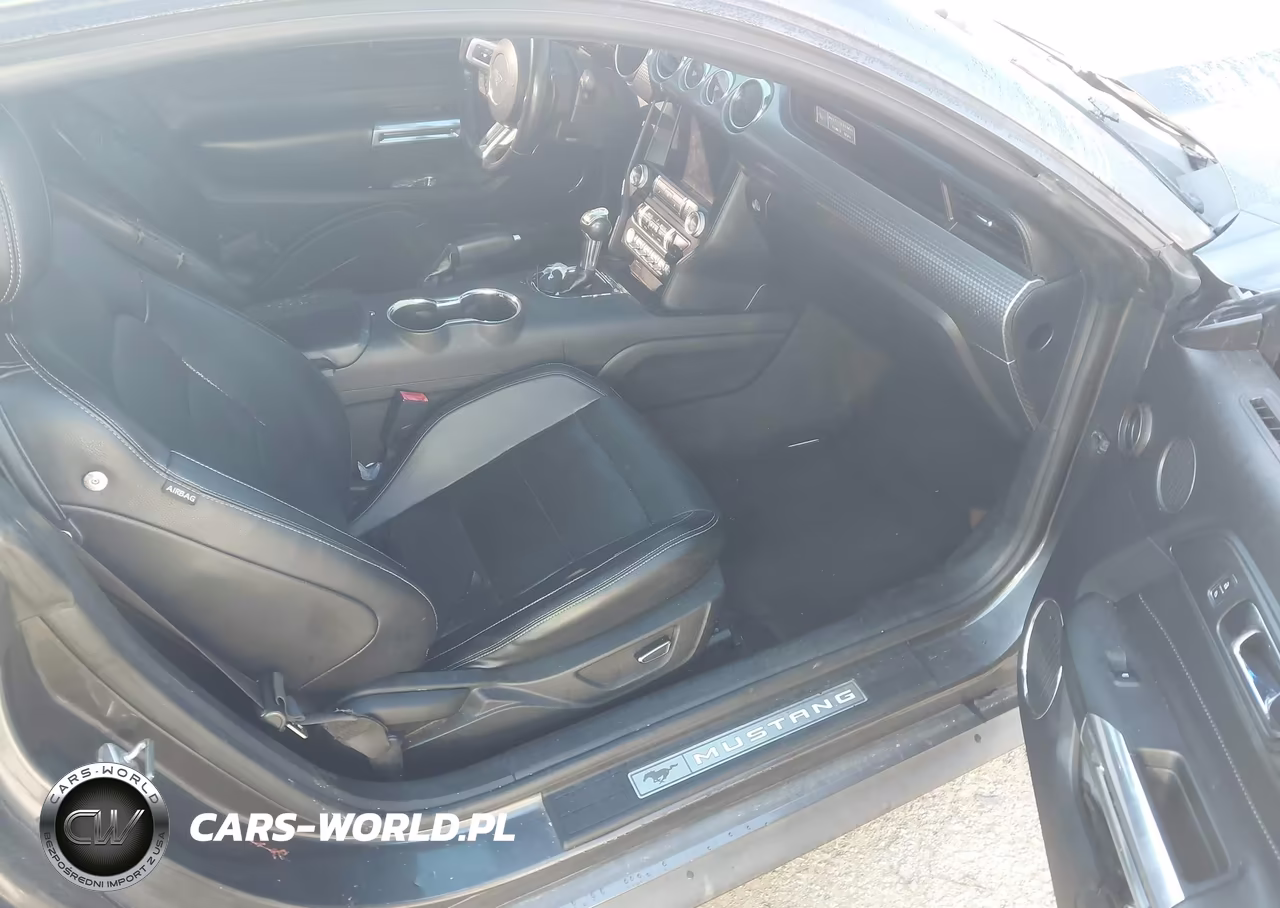 2015 Ford Mustang Ecoboost VIN:1FA6P8THXF5316688 - 5