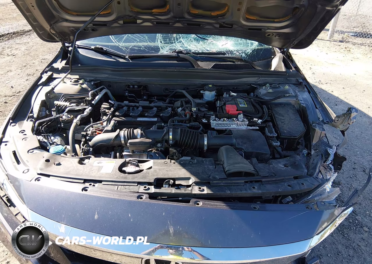 2019 Honda Accord Ex VIN:1HGCV1F4XKA150842 - 10