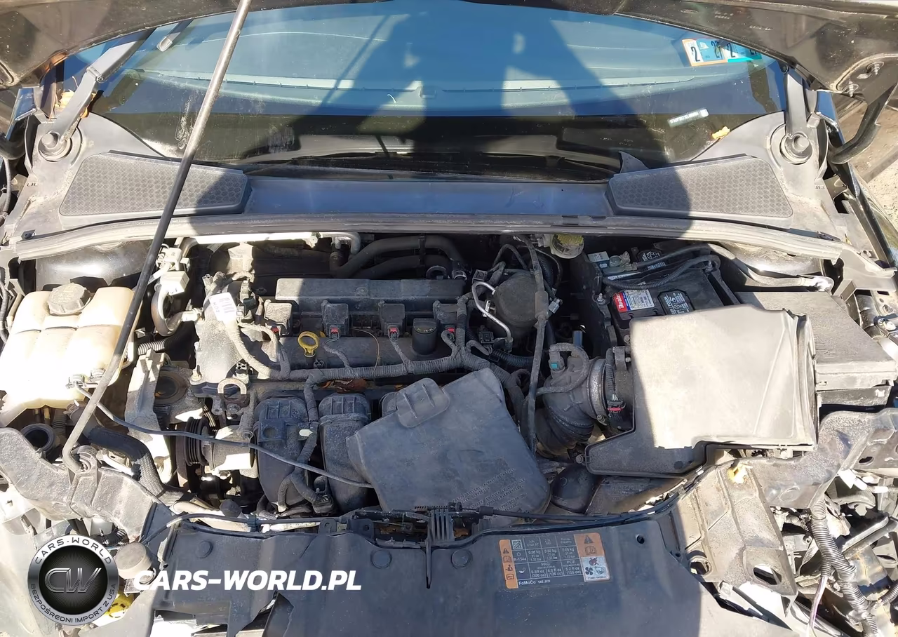 2014 Ford Focus Se VIN:1FADP3K21EL400464 - 10