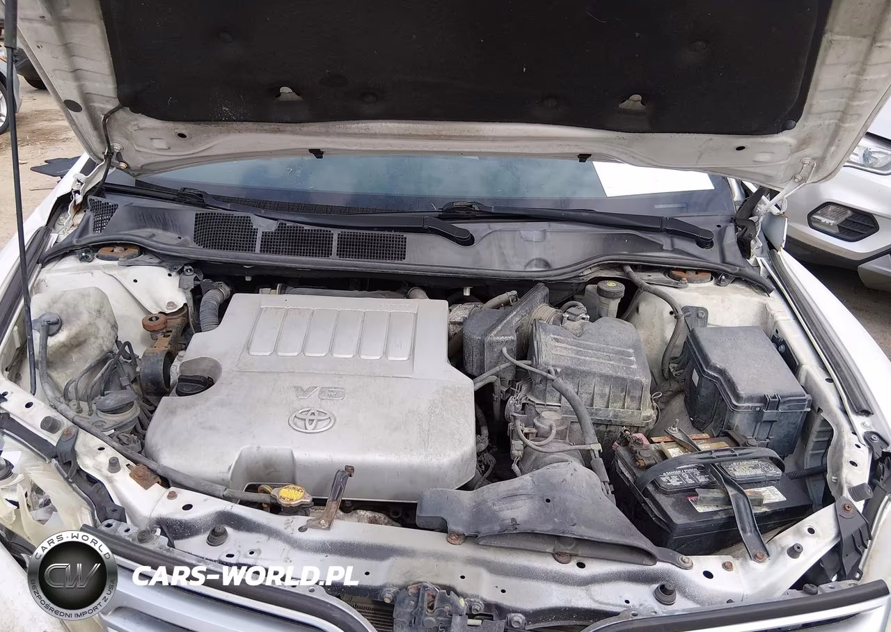 2010 Toyota Venza Base V6 VIN:4T3ZK3BBXAU029245 - 10