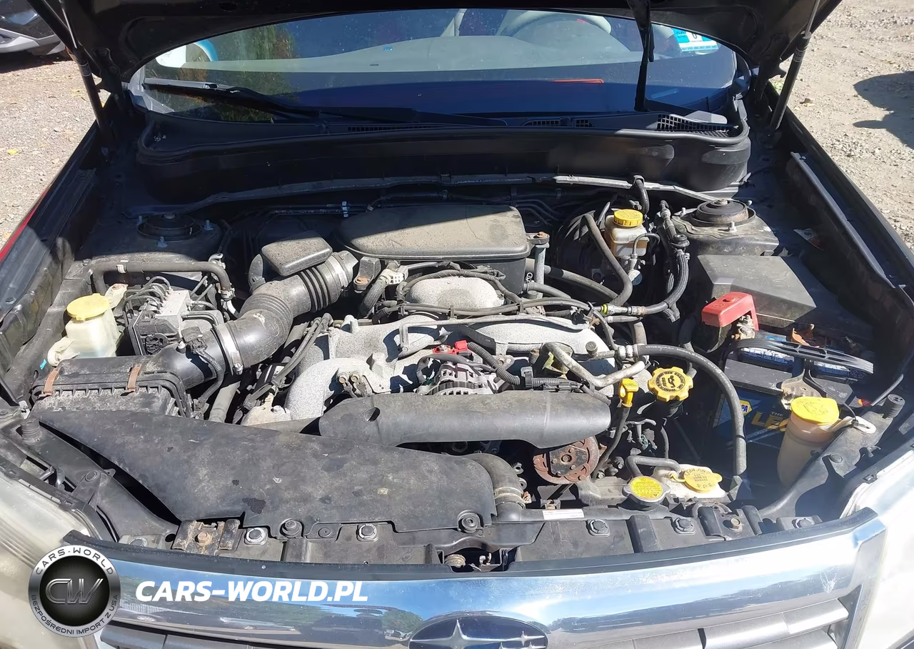 2010 Subaru Forester 2.5X Premium VIN:JF2SH6CC7AH755306 - 10