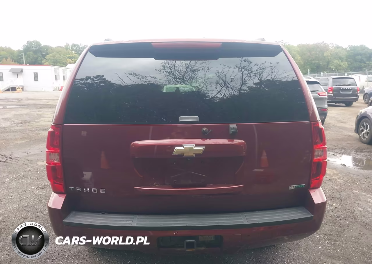 2009 Chevrolet Tahoe Ls VIN:1GNFK13019R139768 - 16