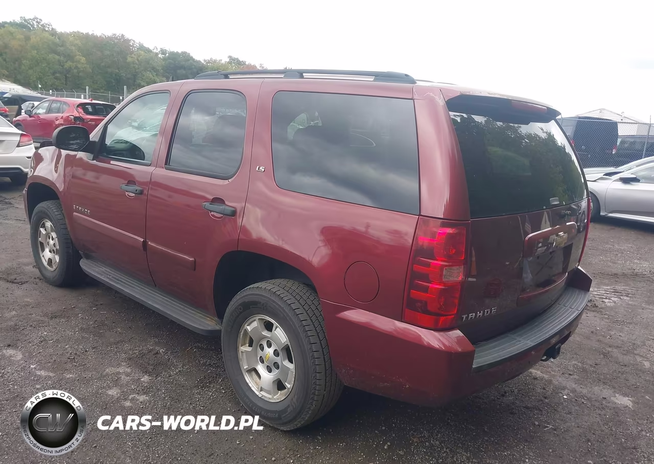 2009 Chevrolet Tahoe Ls VIN:1GNFK13019R139768 - 3