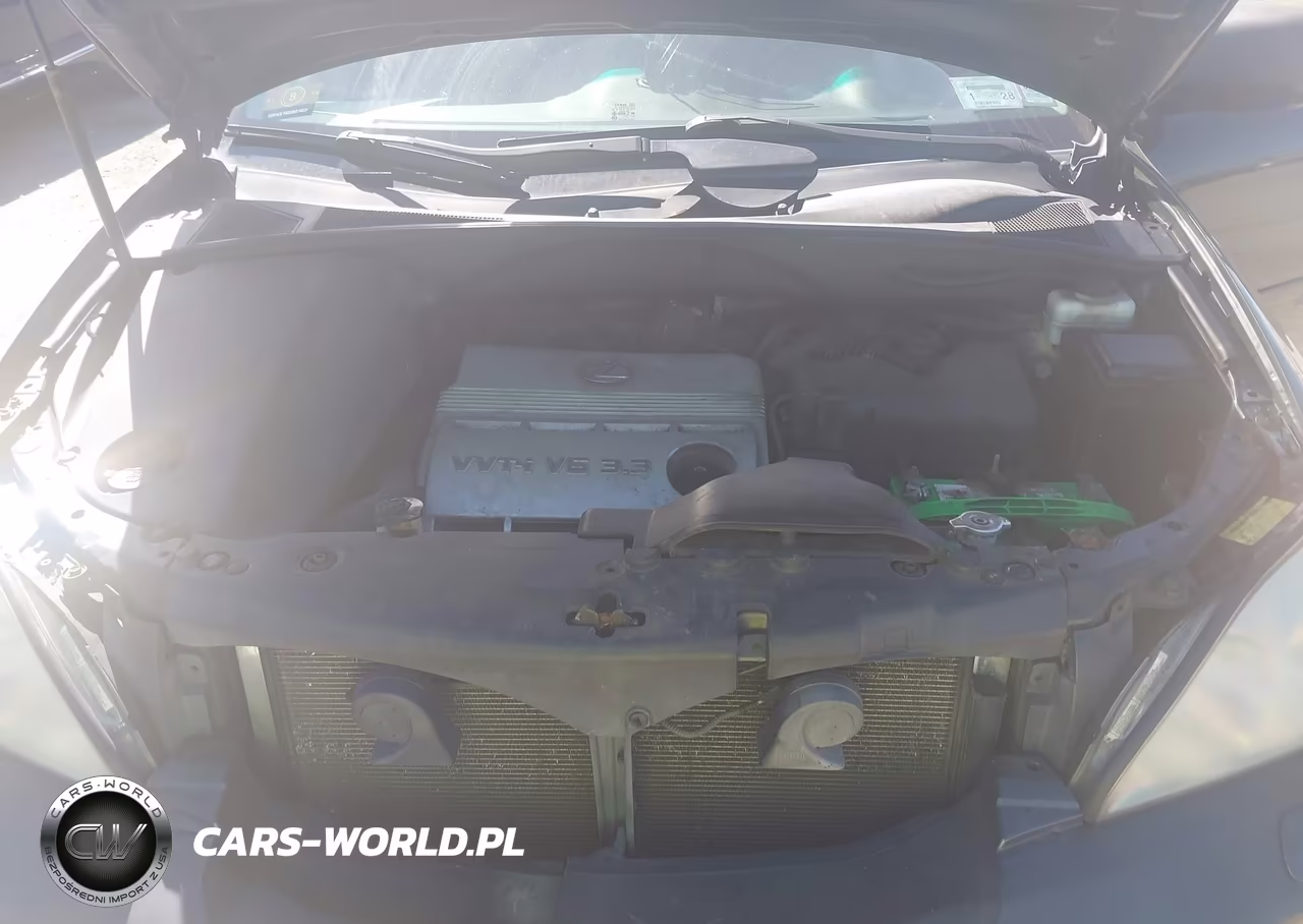 2005 Lexus Rx 330 VIN:2T2HA31U85C076240 - 10