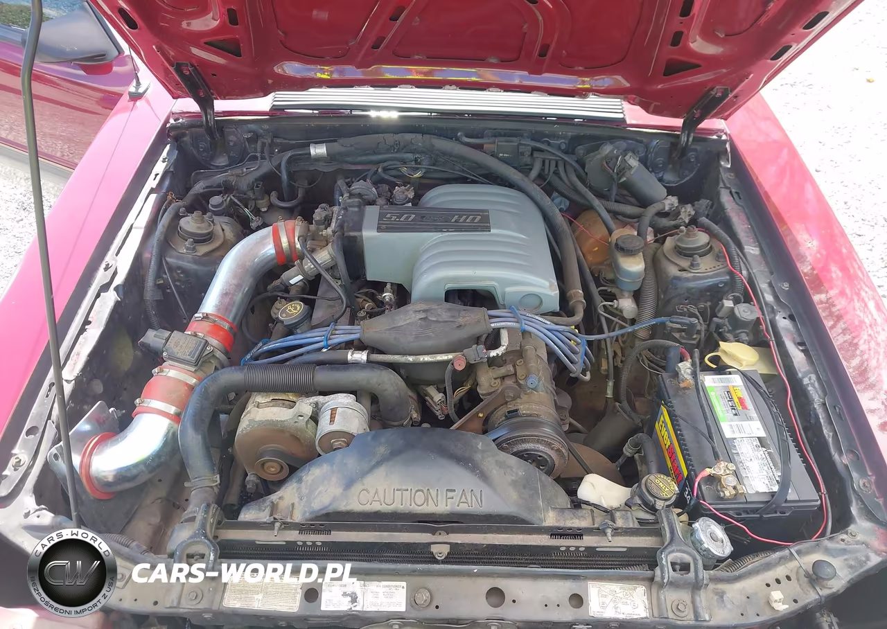 1989 Ford Mustang Gt-Cobra Gt VIN:1FABP42E6KF261711 - 10