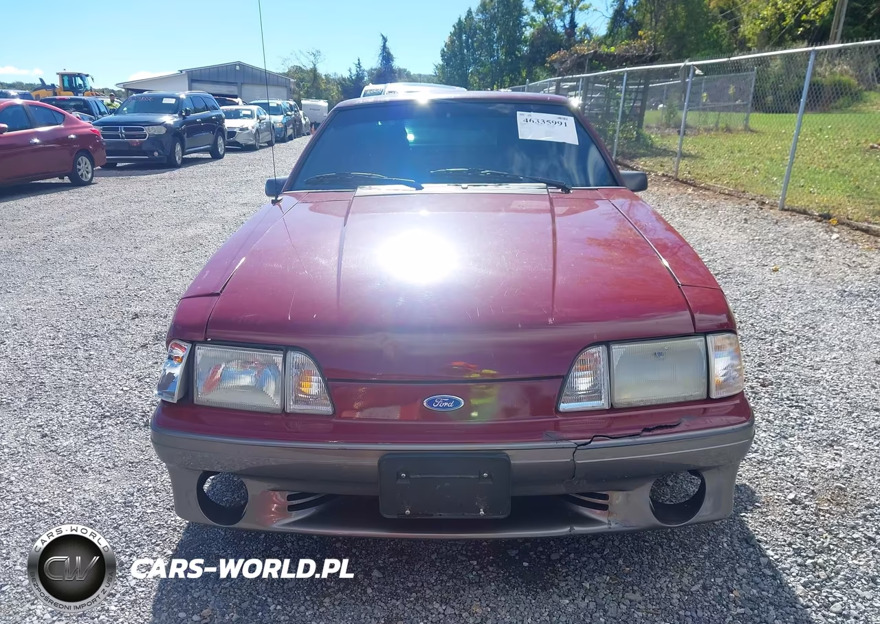 1989 Ford Mustang Gt-Cobra Gt VIN:1FABP42E6KF261711 - 13