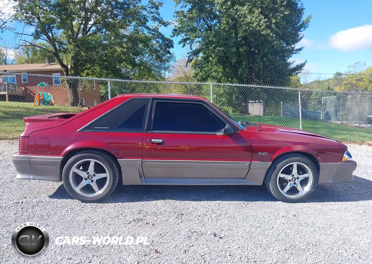 1989 Ford Mustang Gt-Cobra Gt VIN:1FABP42E6KF261711 - 14