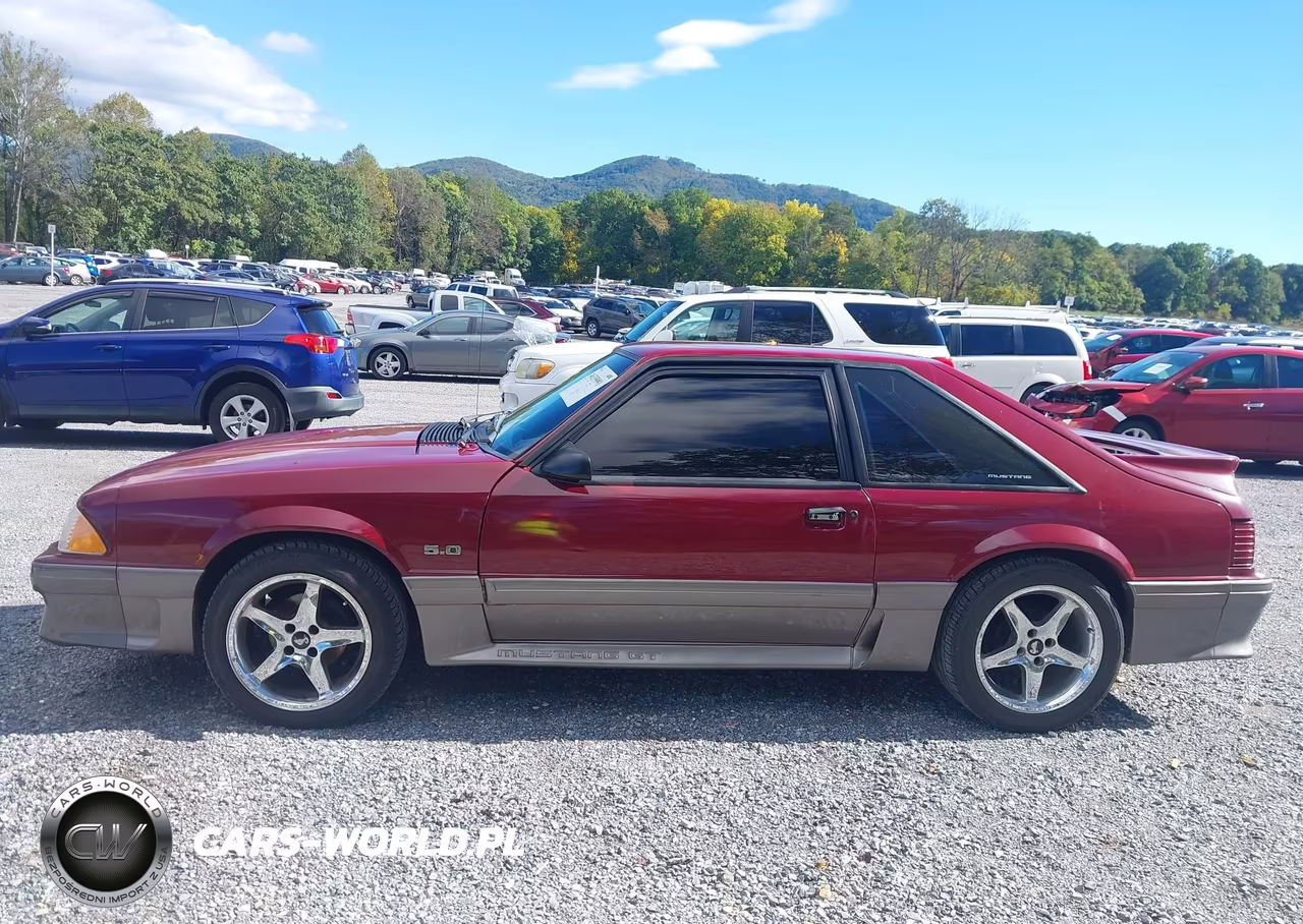 1989 Ford Mustang Gt-Cobra Gt VIN:1FABP42E6KF261711 - 15