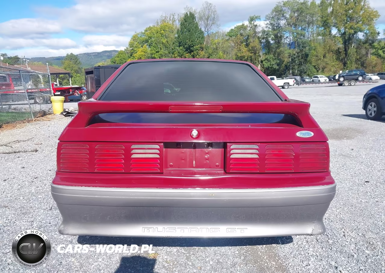 1989 Ford Mustang Gt-Cobra Gt VIN:1FABP42E6KF261711 - 17
