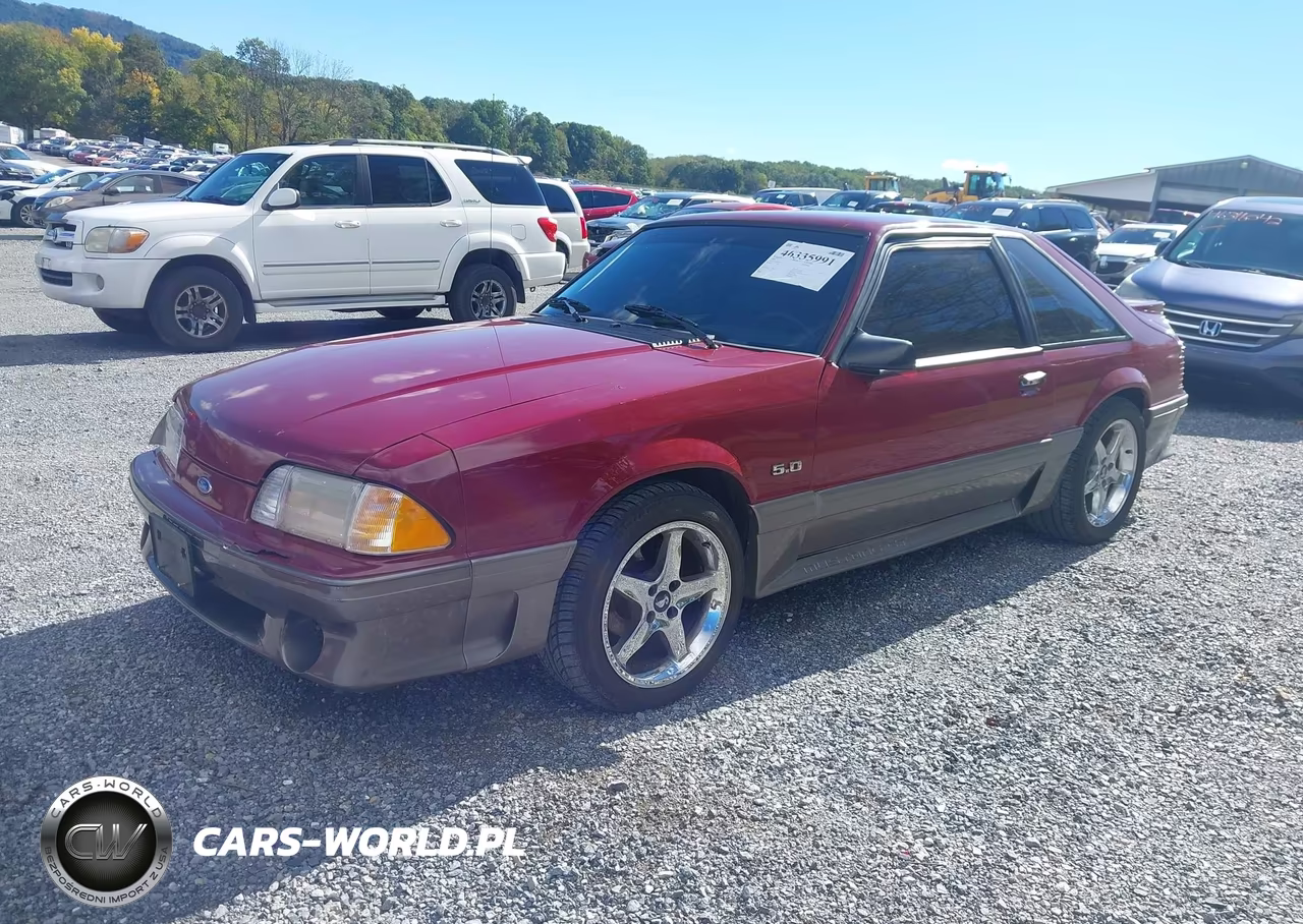 1989 Ford Mustang Gt-Cobra Gt VIN:1FABP42E6KF261711 - 2