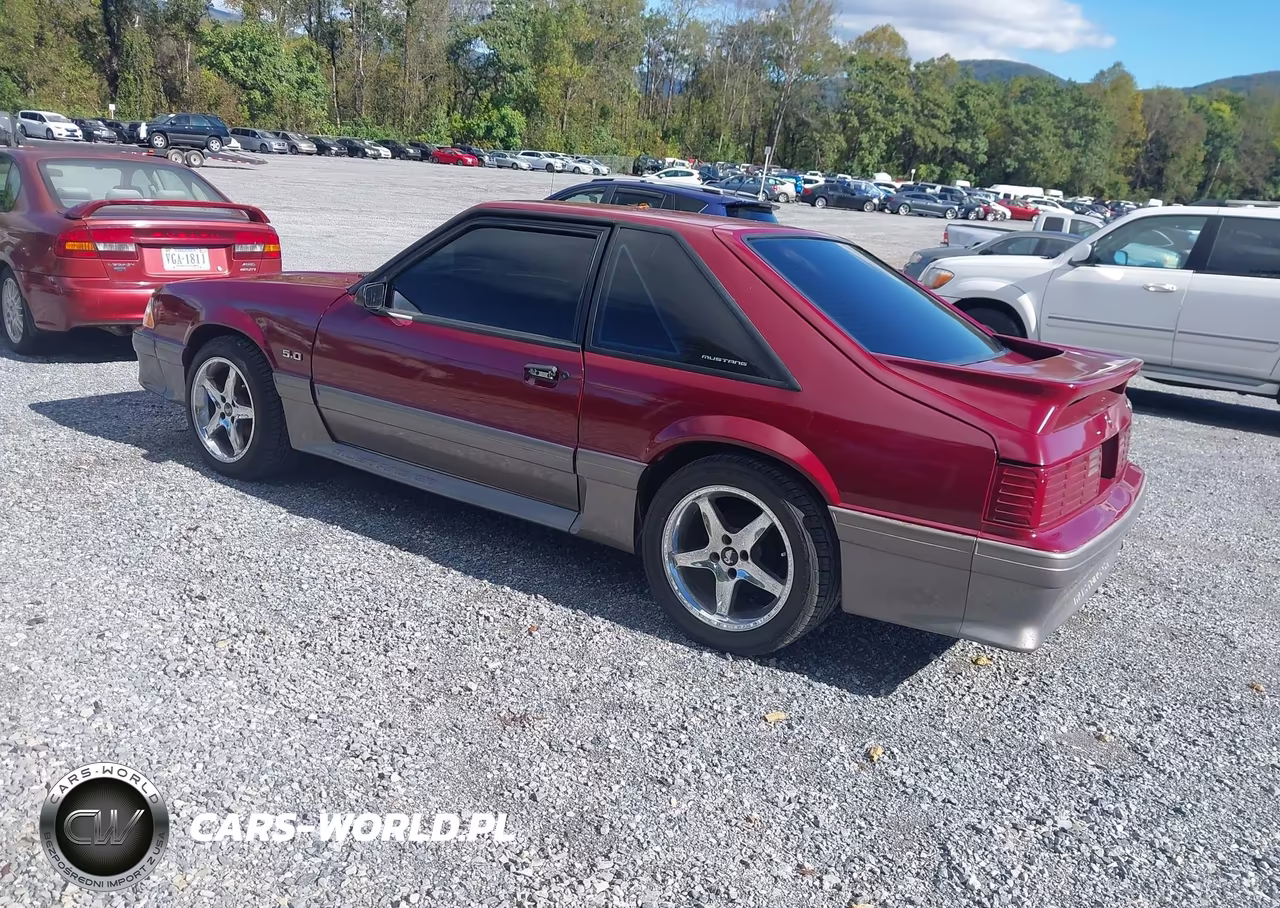 1989 Ford Mustang Gt-Cobra Gt VIN:1FABP42E6KF261711 - 3