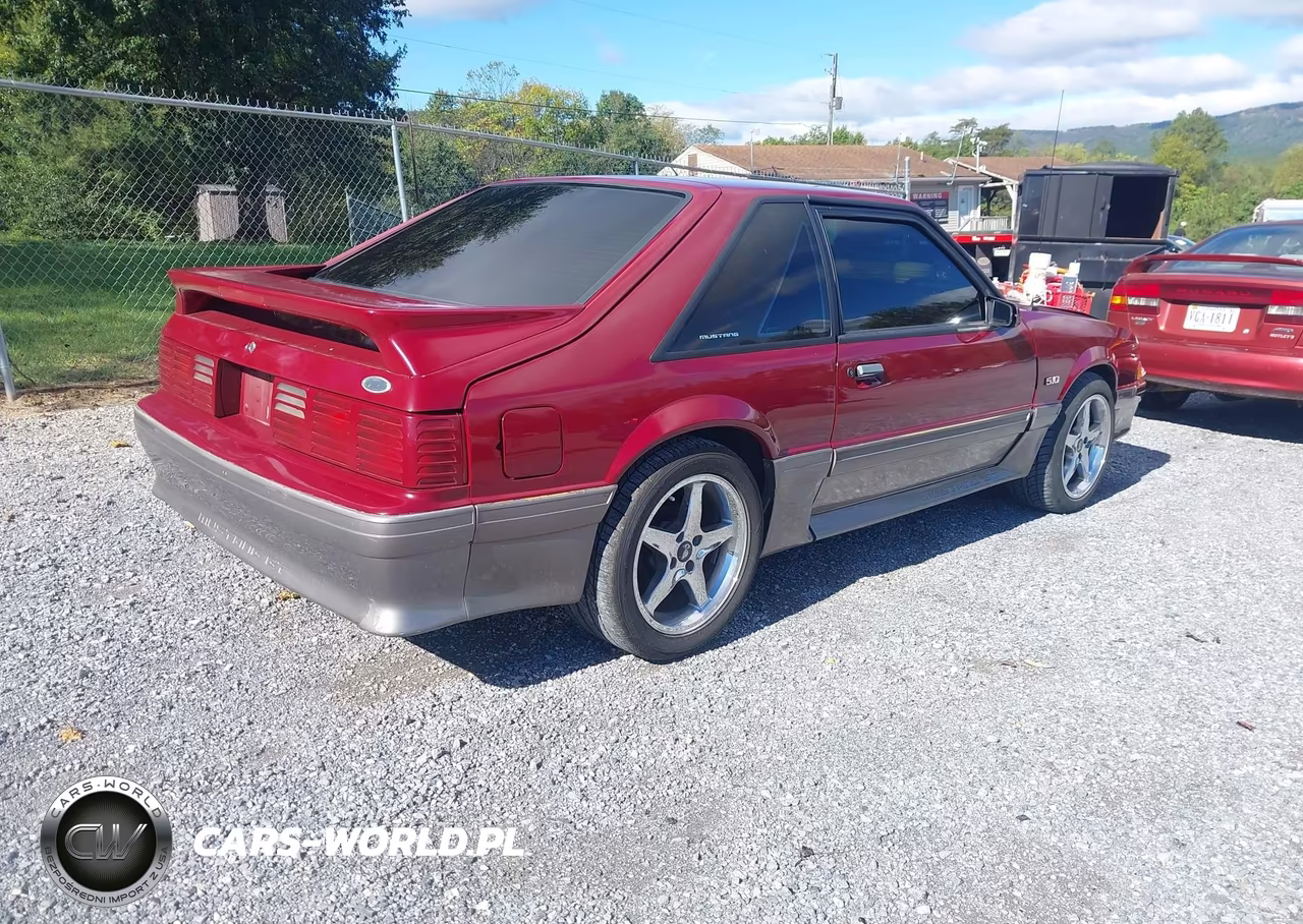 1989 Ford Mustang Gt-Cobra Gt VIN:1FABP42E6KF261711 - 4