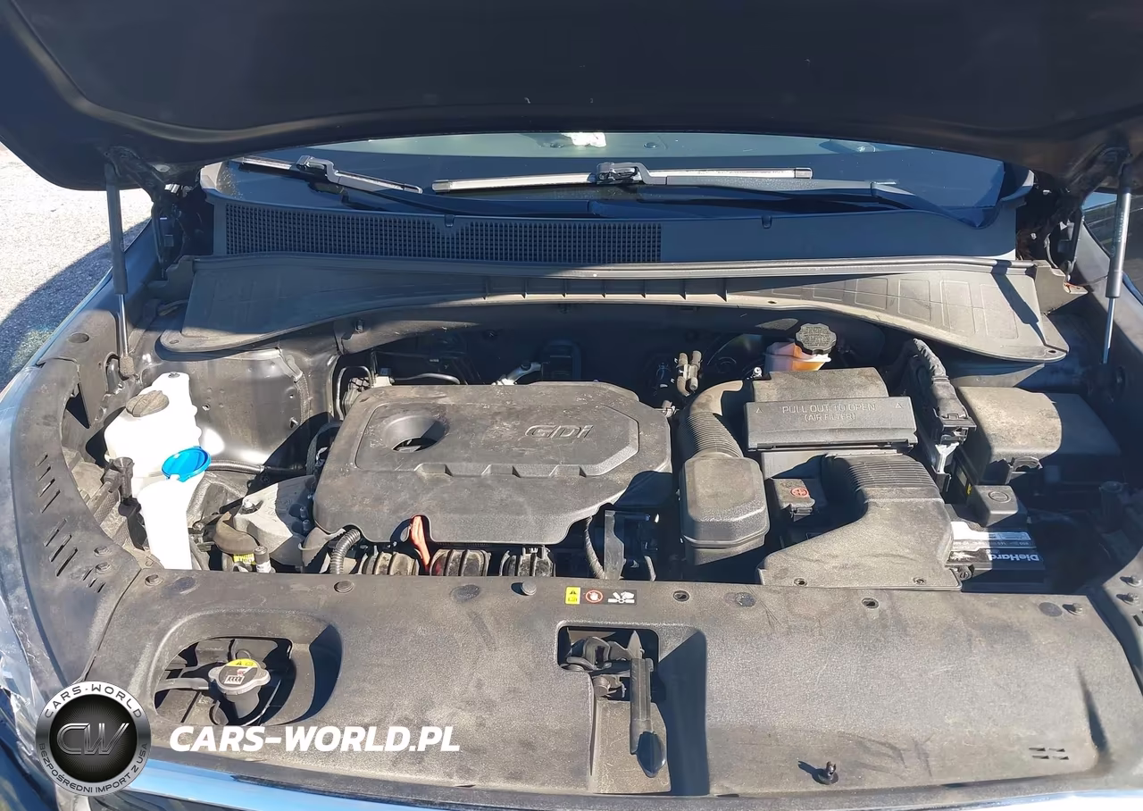 2019 Kia Sorento 2.4L Lx VIN:5XYPG4A31KG553053 - 10