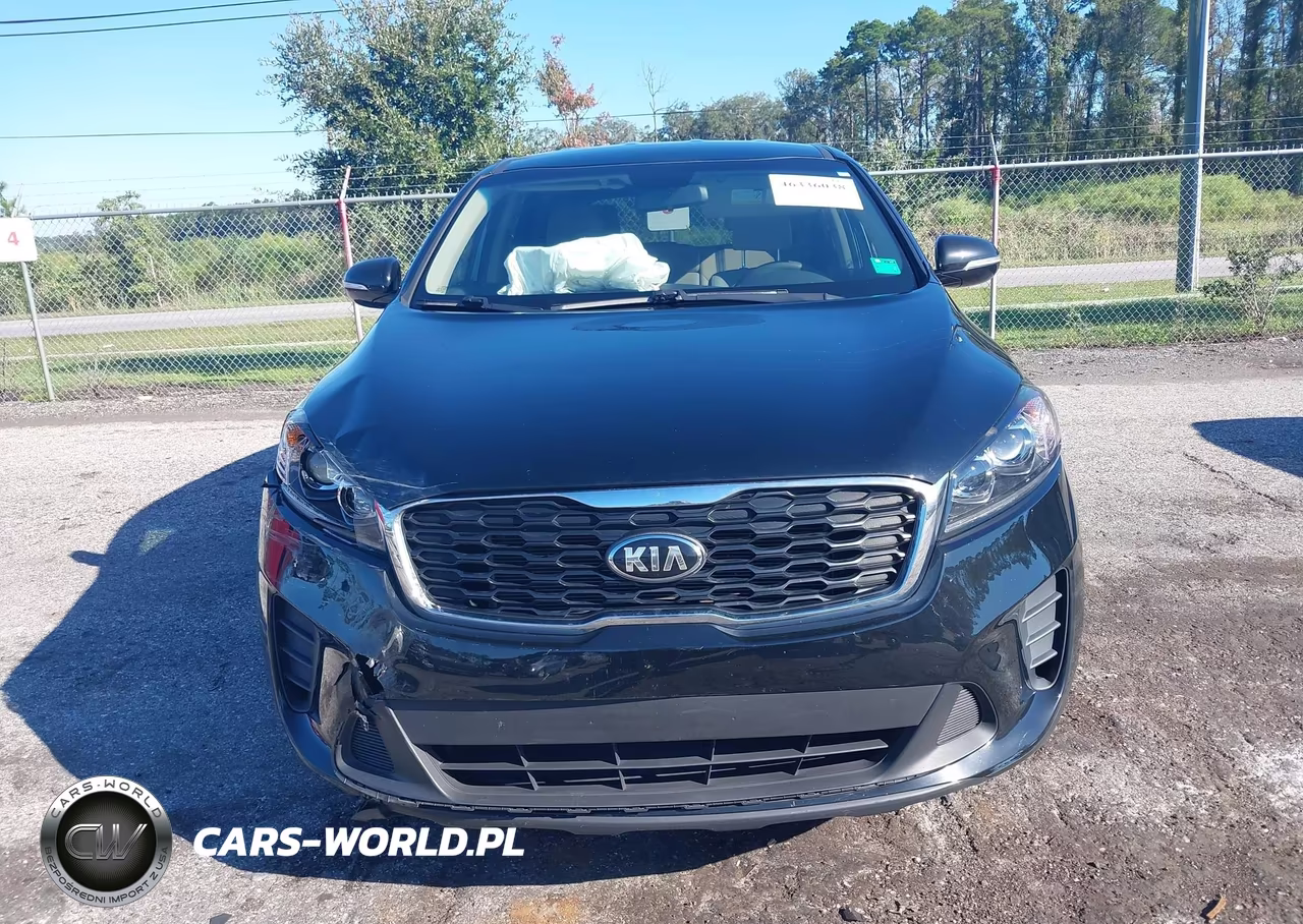 2019 Kia Sorento 2.4L Lx VIN:5XYPG4A31KG553053 - 12