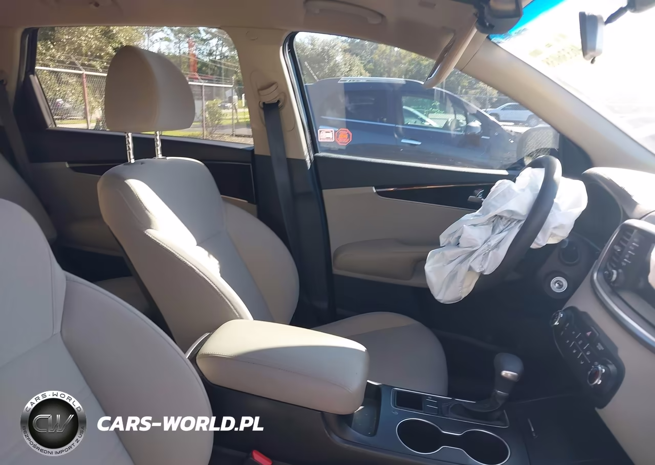 2019 Kia Sorento 2.4L Lx VIN:5XYPG4A31KG553053 - 5