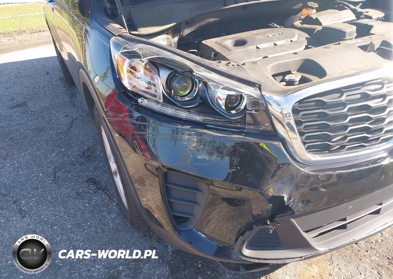 2019 Kia Sorento 2.4L Lx VIN:5XYPG4A31KG553053 - 6