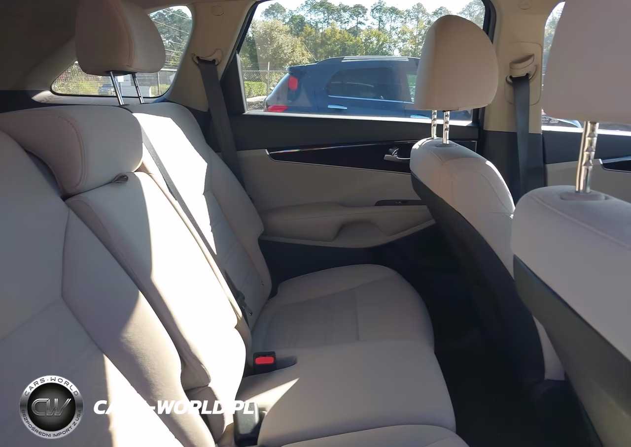 2019 Kia Sorento 2.4L Lx VIN:5XYPG4A31KG553053 - 8