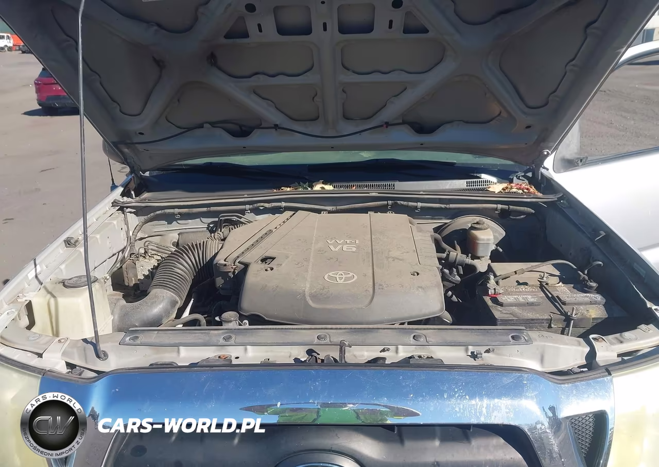 2006 Toyota Tacoma Base V6 VIN:5TELU42NX6Z187192 - 10