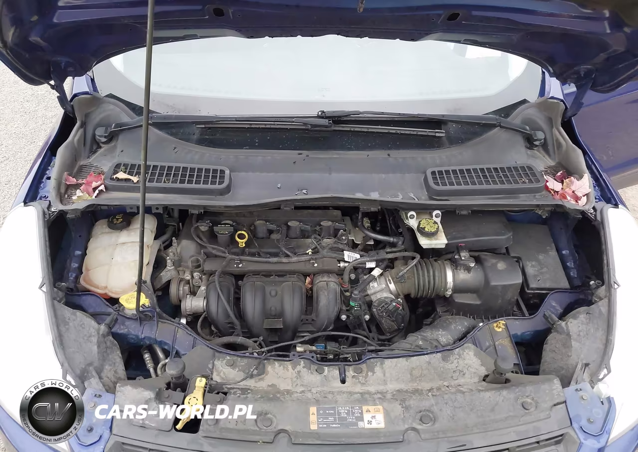 2014 Ford Escape S VIN:1FMCU0F76EUE39964 - 10