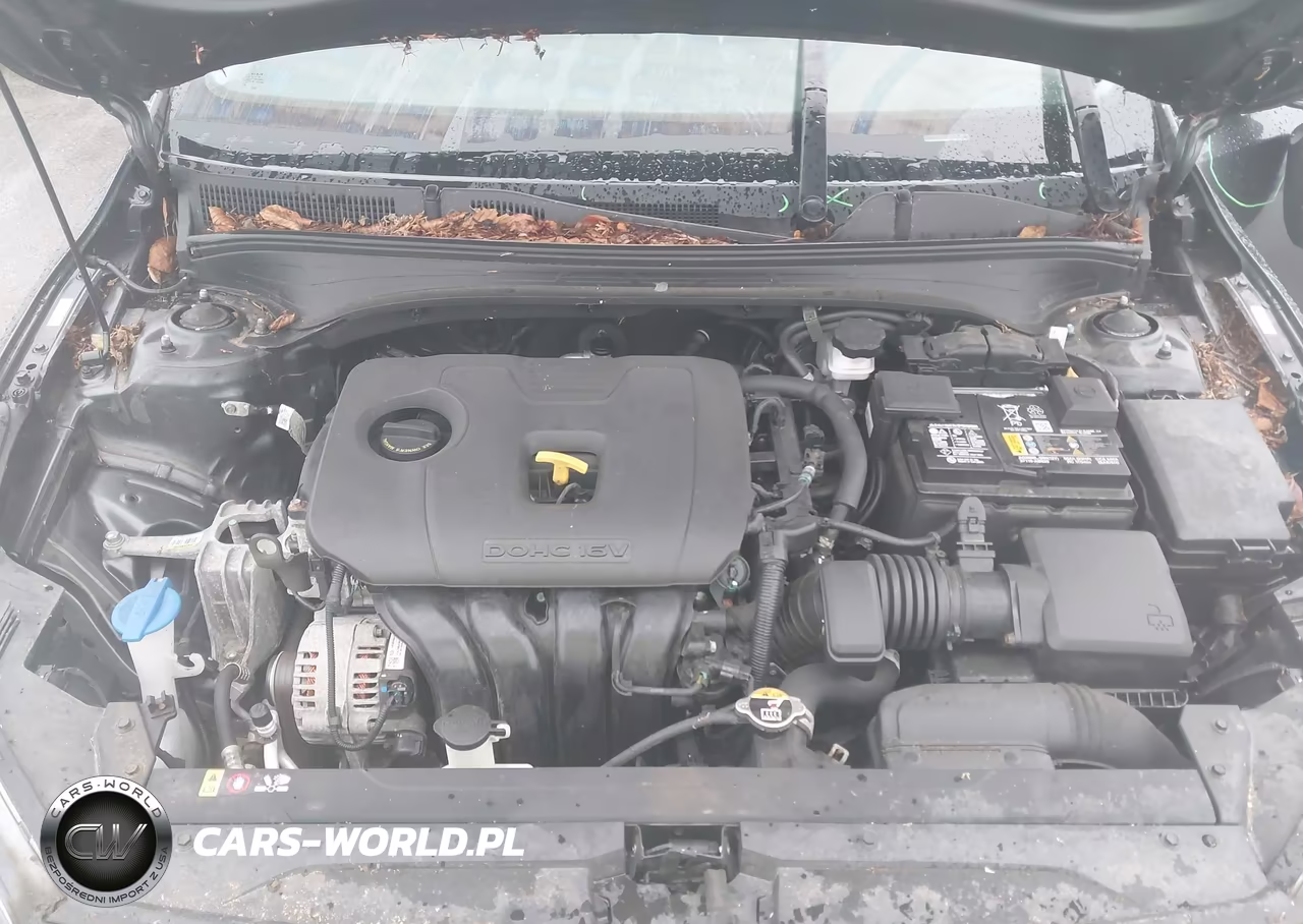 2021 Kia Forte Lxs VIN:3KPF24AD4ME413243 - 10