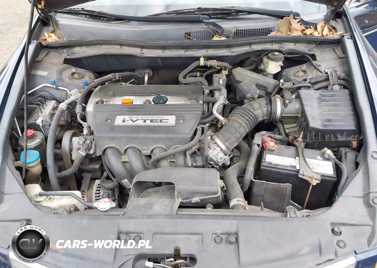 2009 Honda Accord 2.4 Lx VIN:1HGCP26389A016641 - 10