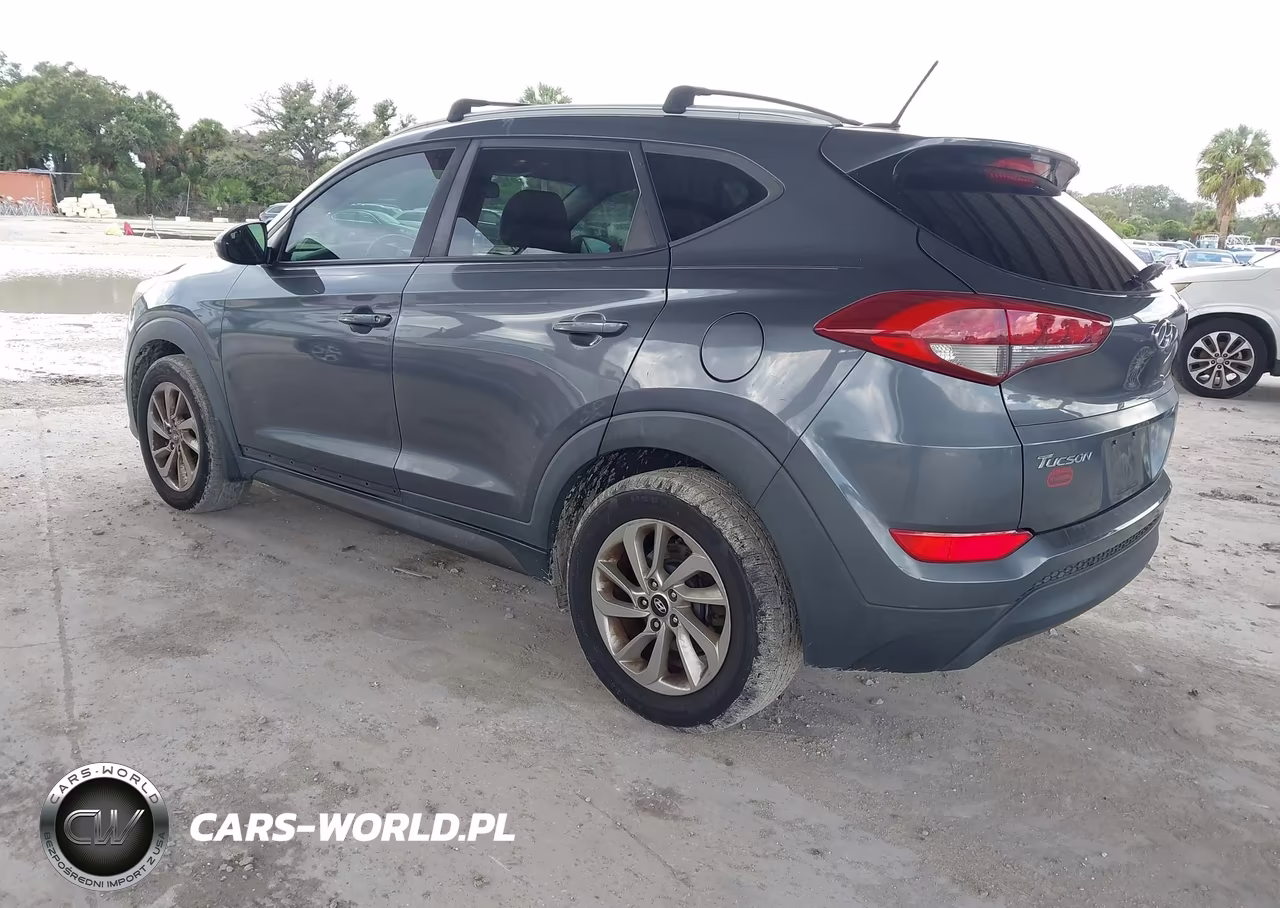 2016 Hyundai Tucson Se VIN:KM8J33A49GU236045 - 3