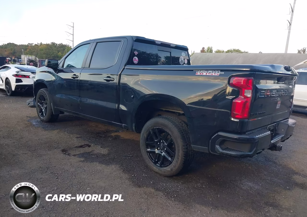 2020 Chevrolet Silverado 1500 4Wd Short Bed Lt Trail Boss VIN:3GCPYFEL7LG396876 - 3
