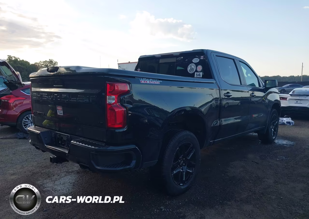 2020 Chevrolet Silverado 1500 4Wd Short Bed Lt Trail Boss VIN:3GCPYFEL7LG396876 - 4