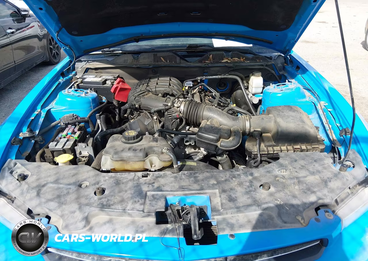 2011 Ford Mustang V6 Premium VIN:1ZVBP8AM5B5103373 - 10