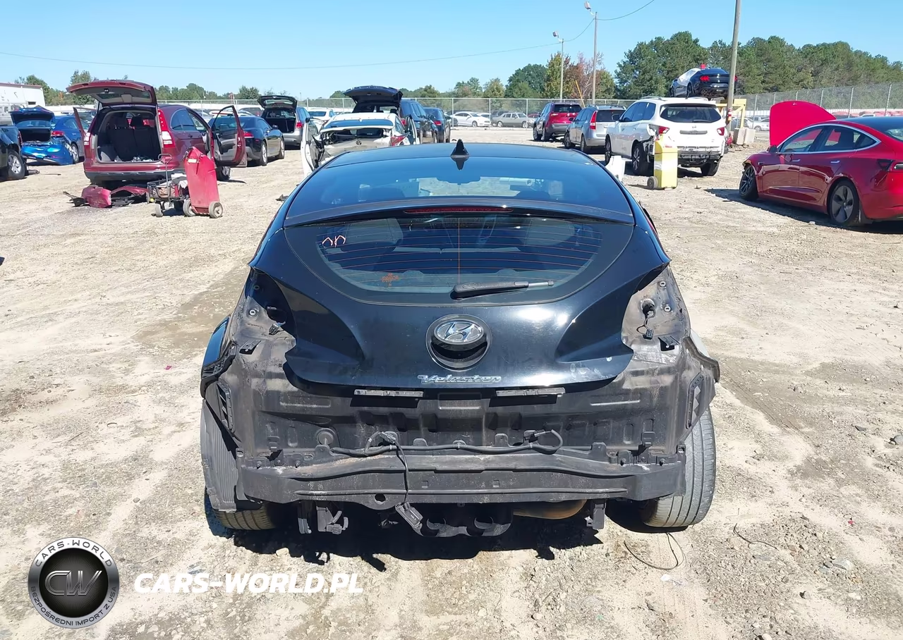 2013 Hyundai Veloster Base W-Black VIN:KMHTC6AD4DU171787 - 17