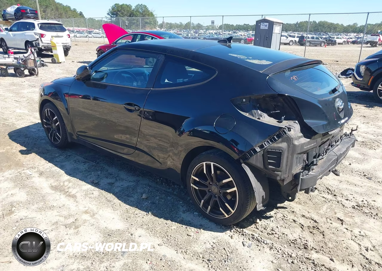 2013 Hyundai Veloster Base W-Black VIN:KMHTC6AD4DU171787 - 3