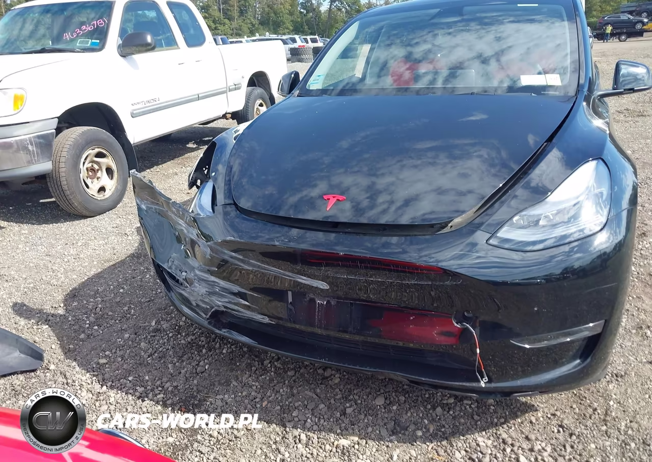 2023 Tesla Model Y Awd-Long Range Dual Motor All-Wheel Drive VIN:7SAYGAEE1PF913907 - 12
