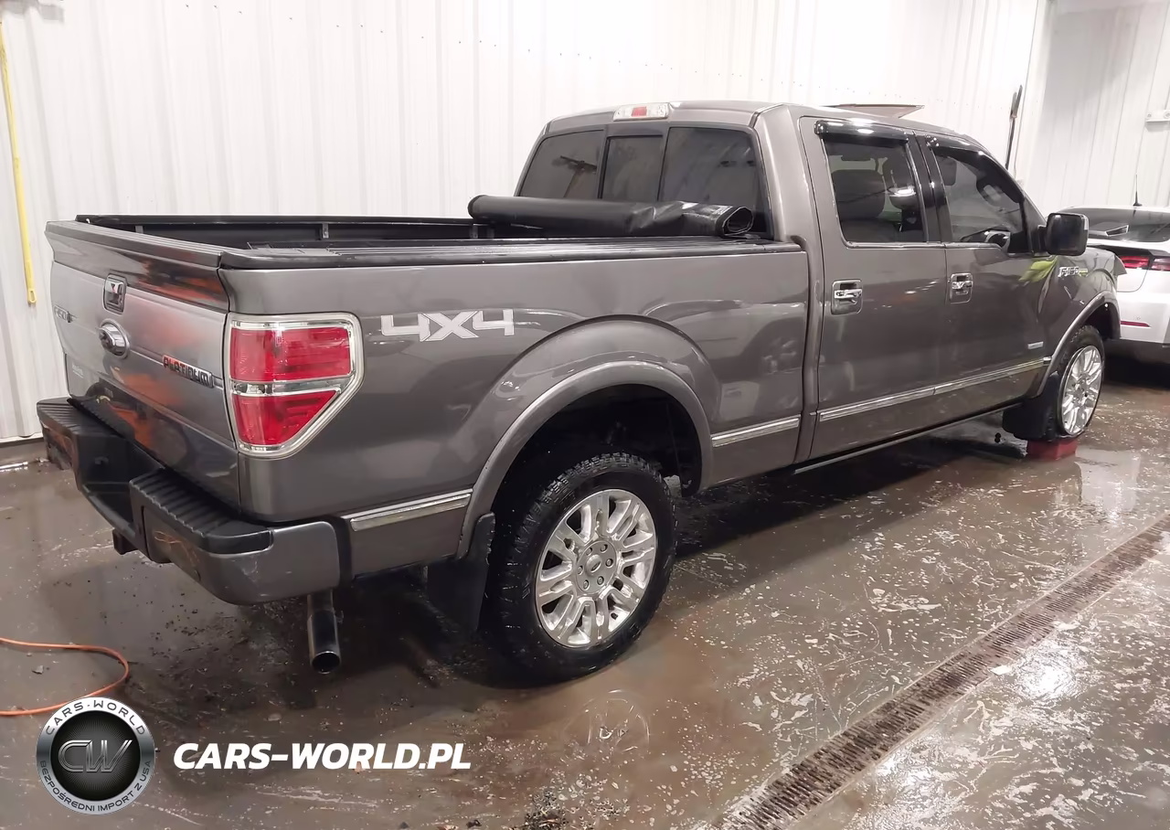 2014 Ford F-150 Platinum VIN:1FTFW1ET4EFC50833 - 4