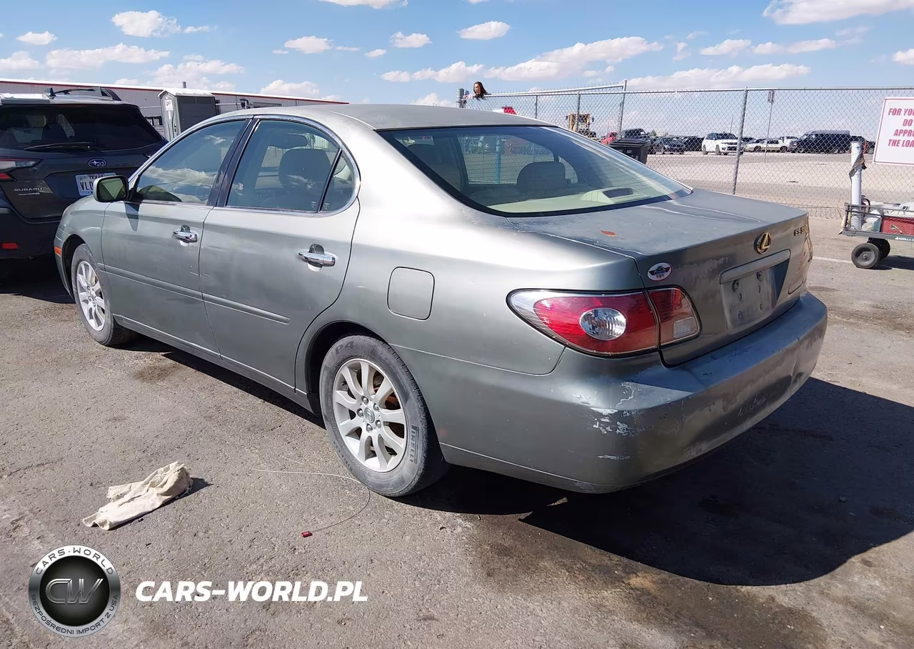 2004 Lexus Es 330 VIN:JTHBA30G745041219 - 3