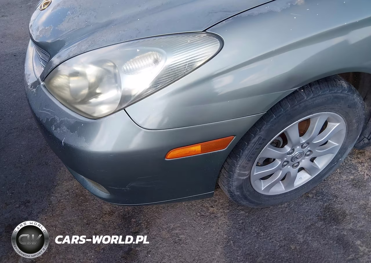 2004 Lexus Es 330 VIN:JTHBA30G745041219 - 6