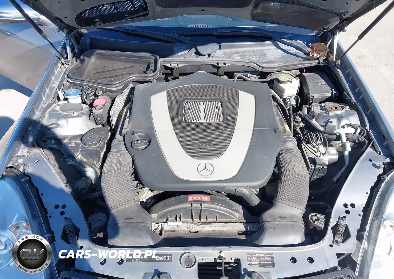 2010 Mercedes-Benz Slk 300 VIN:WDBWK5EA4AF232844 - 10