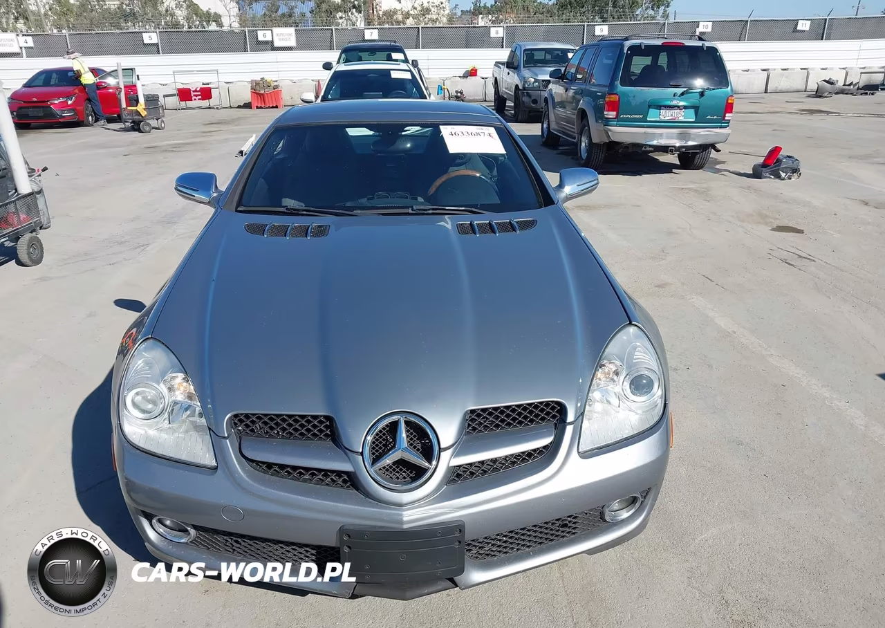 2010 Mercedes-Benz Slk 300 VIN:WDBWK5EA4AF232844 - 12