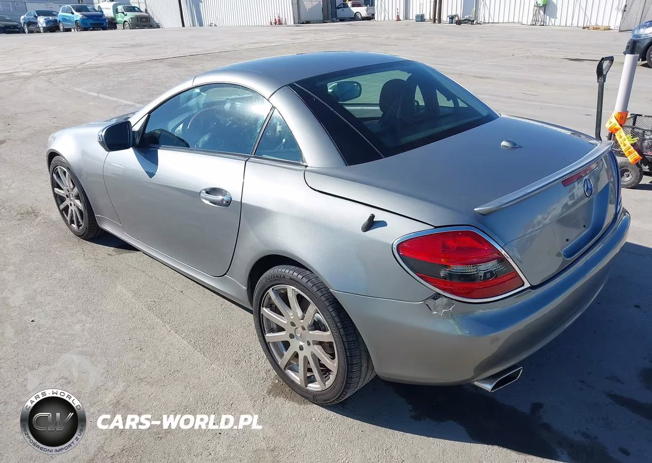 2010 Mercedes-Benz Slk 300 VIN:WDBWK5EA4AF232844 - 3