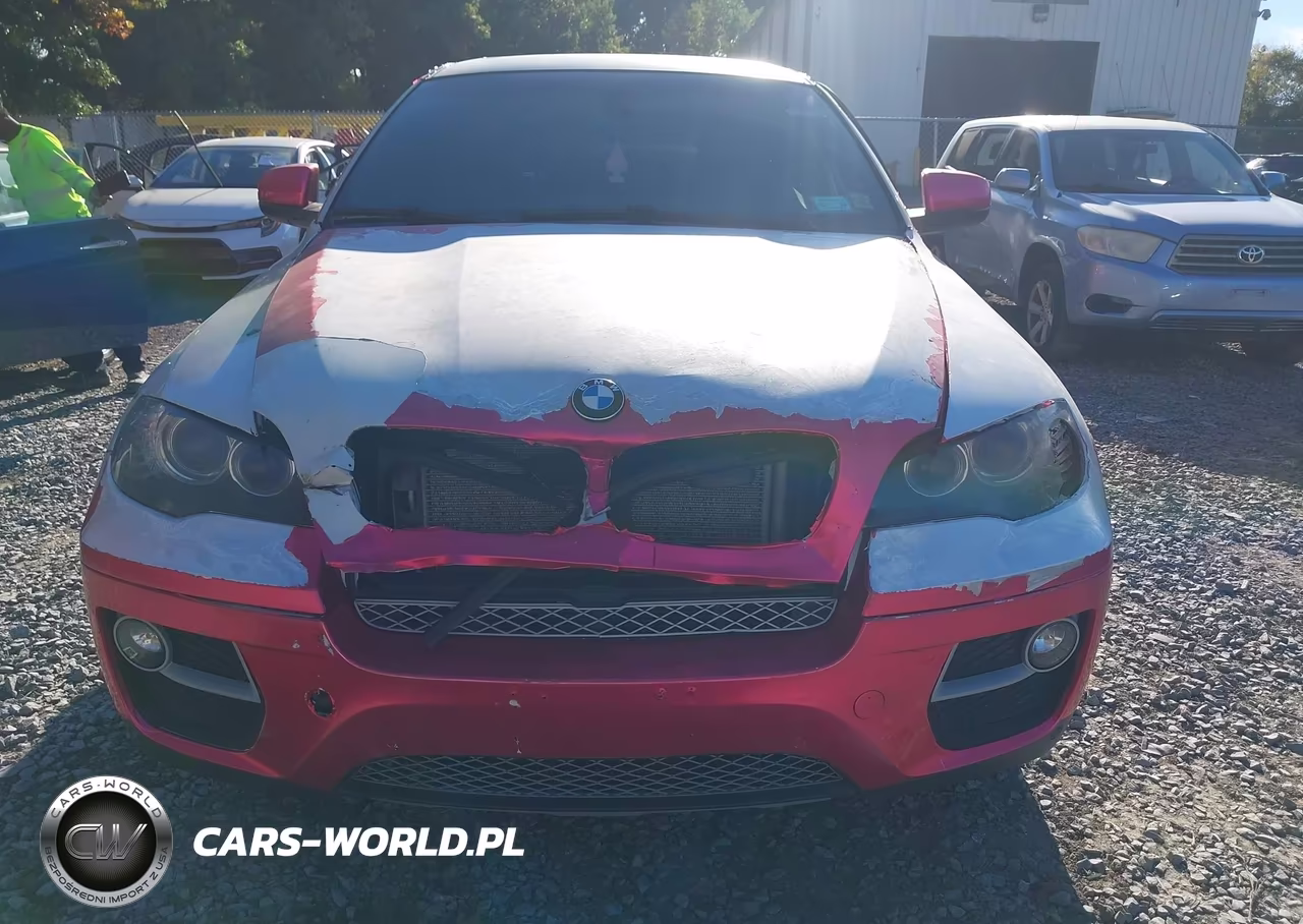2013 BMW X6 xDrive35I VIN:5UXFG2C55DL783182 - 12
