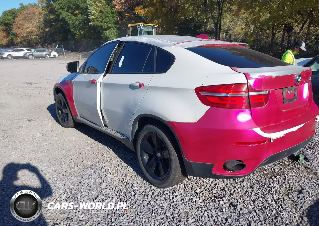 2013 BMW X6 xDrive35I VIN:5UXFG2C55DL783182 - 3