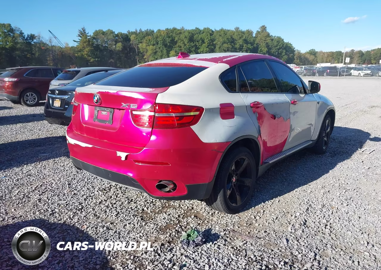 2013 BMW X6 xDrive35I VIN:5UXFG2C55DL783182 - 4