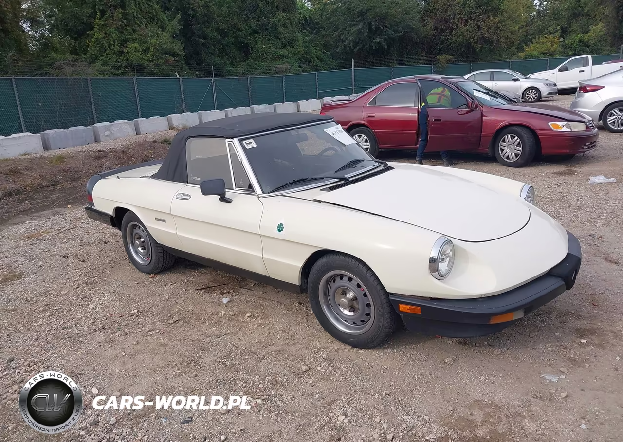 1987 Alfa Romeo Spider Graduate – zdjęcie 1 z 13