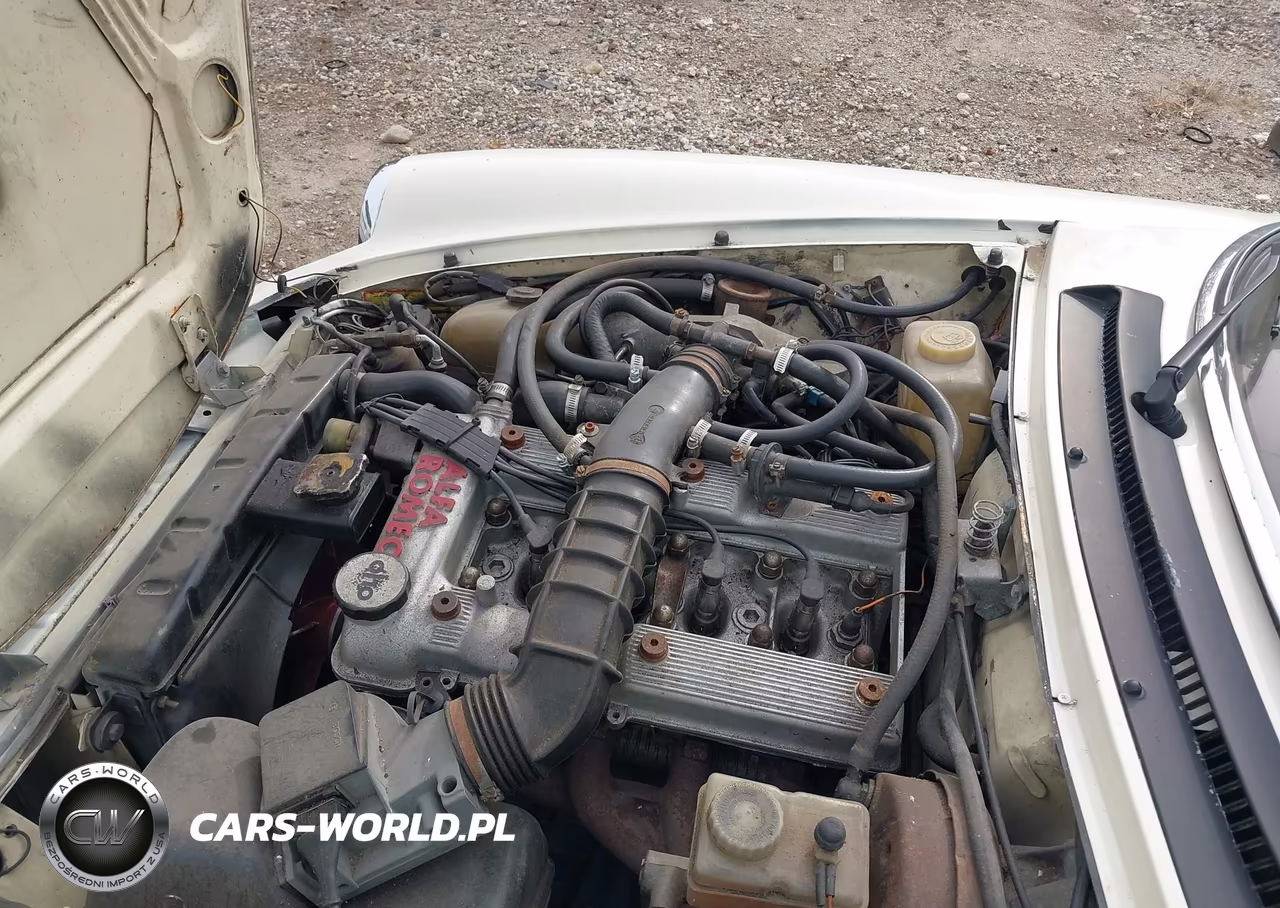 1987 Alfa Romeo Spider Graduate VIN:ZARBA5640H1045917 - 10