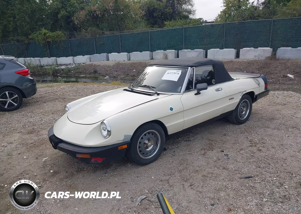 1987 Alfa Romeo Spider Graduate VIN:ZARBA5640H1045917 - 2