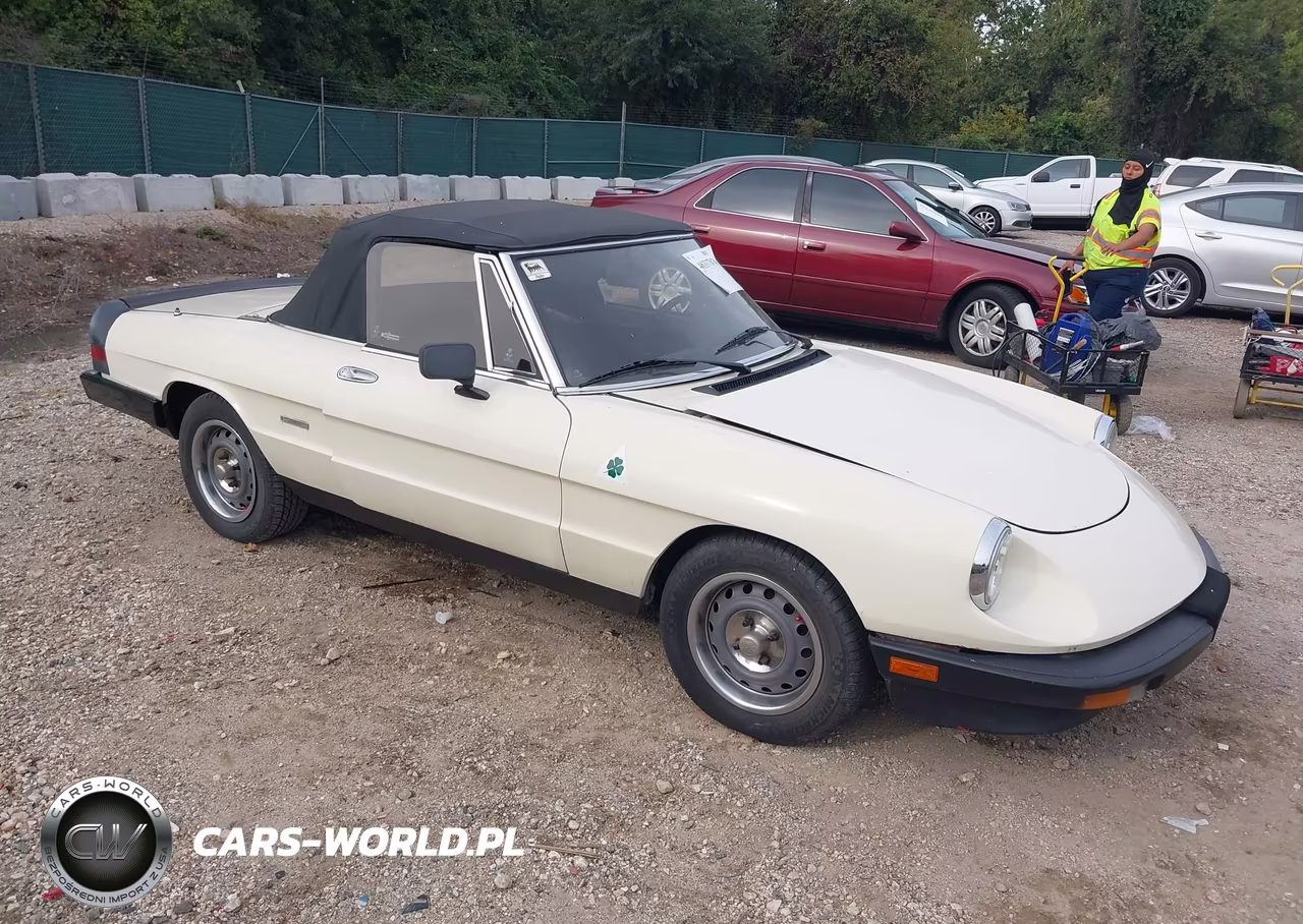 1987 Alfa Romeo Spider Graduate VIN:ZARBA5640H1045917 - 3