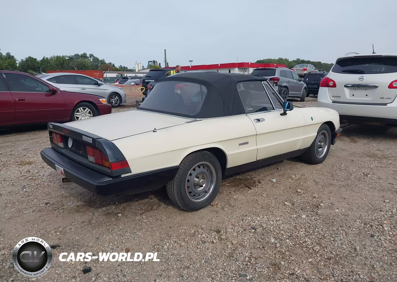 1987 Alfa Romeo Spider Graduate VIN:ZARBA5640H1045917 - 4
