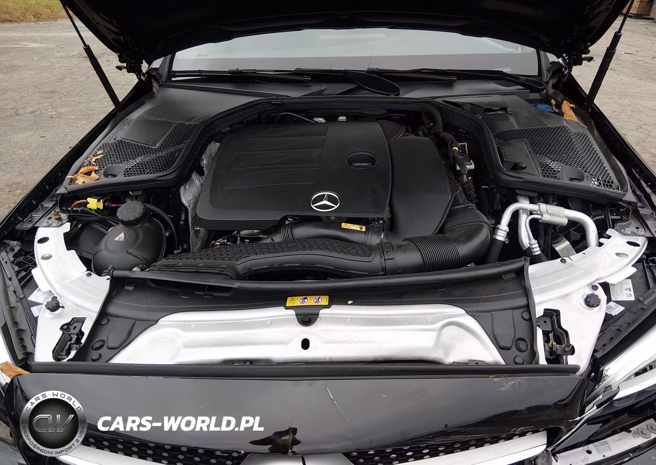 2020 Mercedes-Benz C 300 4Matic VIN:W1KWF8EB1LR572119 - 10
