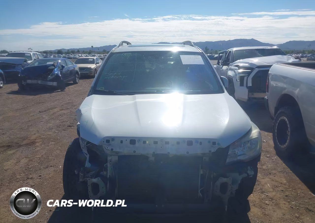2017 Subaru Forester 2.5I Premium VIN:JF2SJAEC3HH570961 - 13