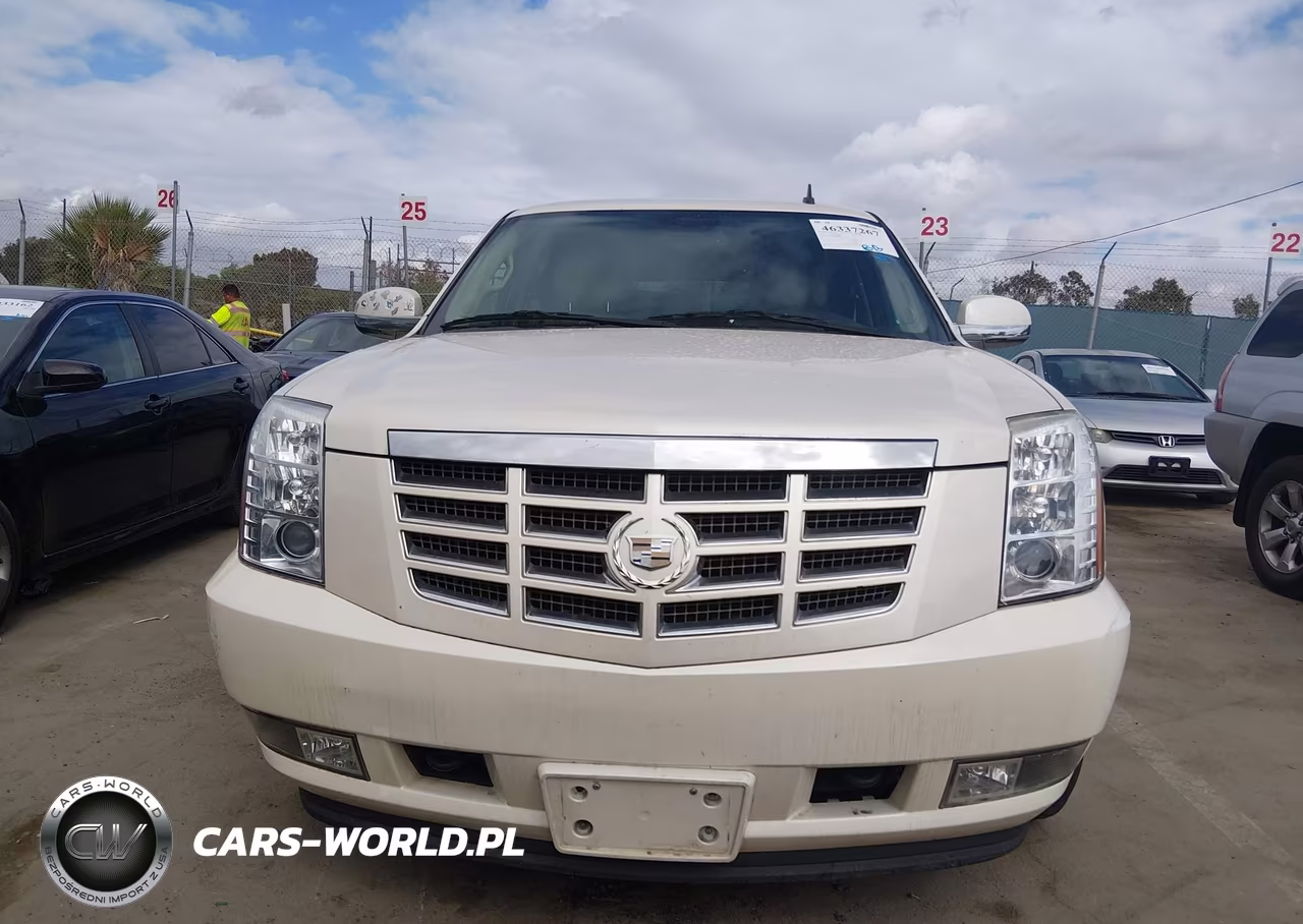 2012 Cadillac Escalade Standard VIN:1GYS3AEF0CR105067 - 12